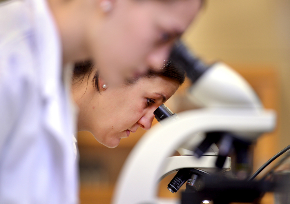 Two chemistry students look through microscopes